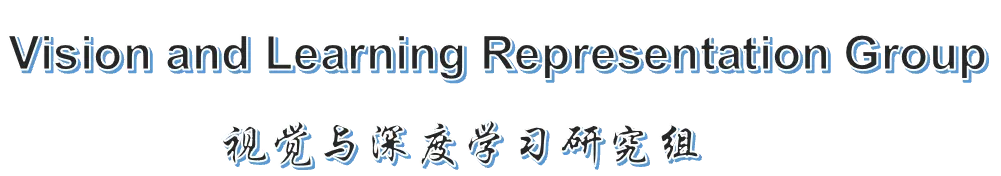 Vision and Learning Representation Group